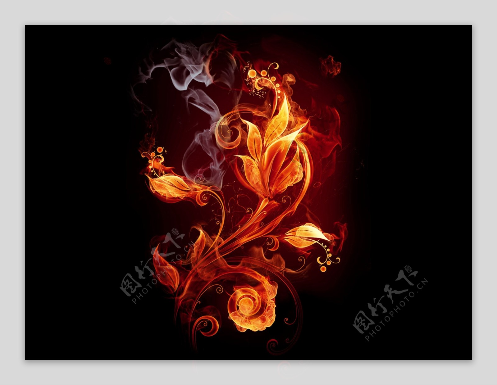 高清透明分层火焰燃烧的花朵图片