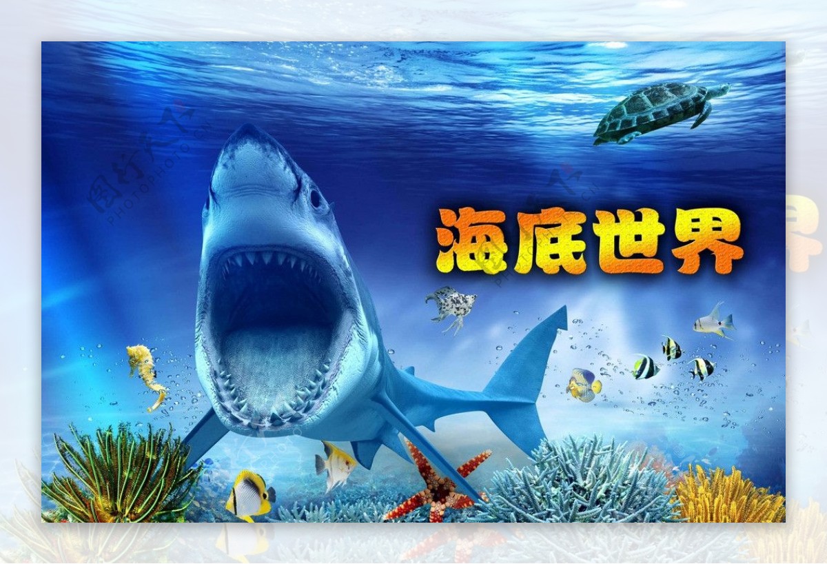 东方福利网 上海-三亚亚特兰蒂斯失落的空间水族馆门票预定/门票价格/景点介绍