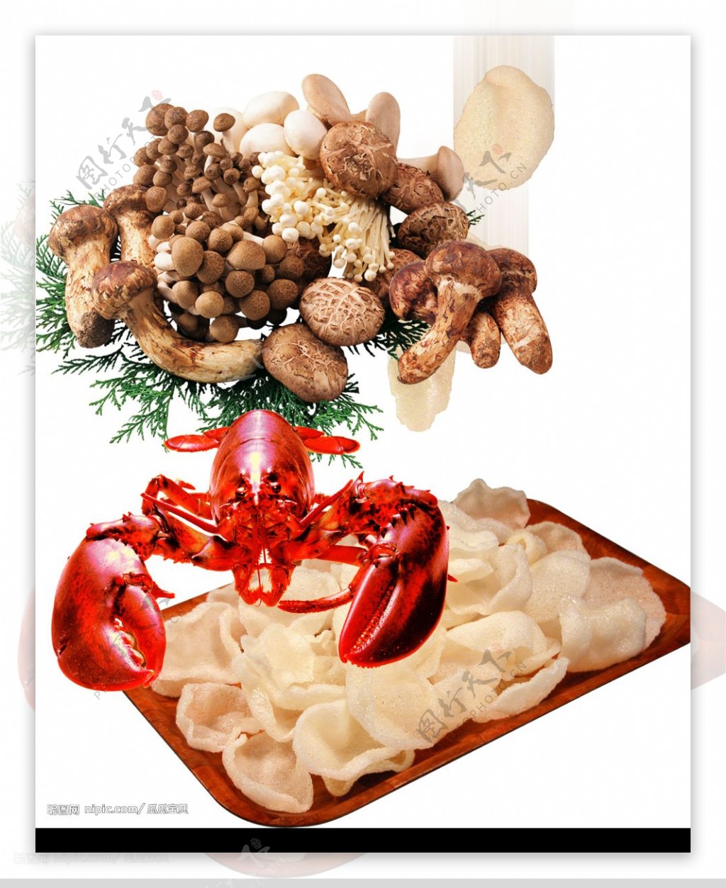 虾虾片和菇图片