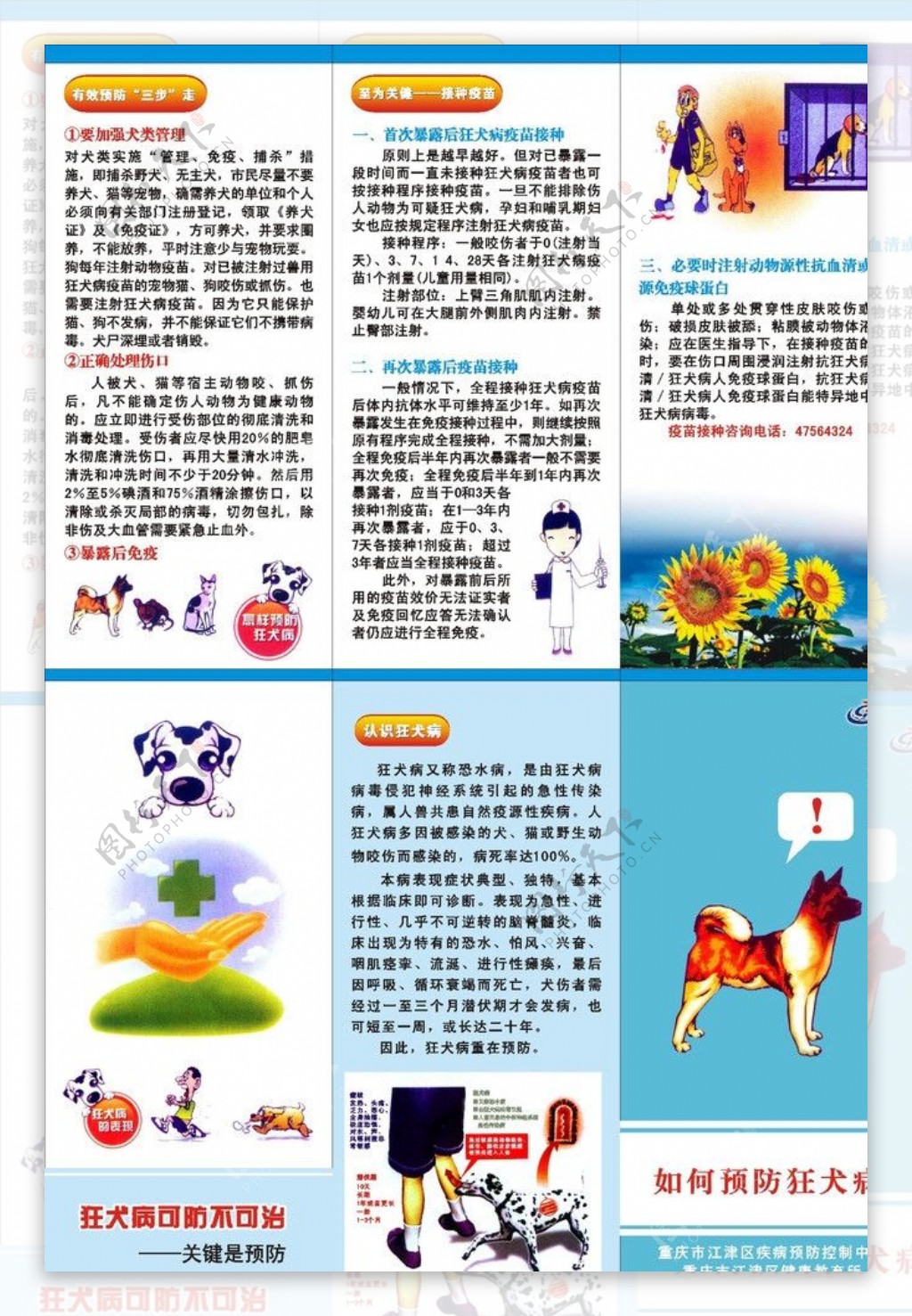 狂犬病预防图片