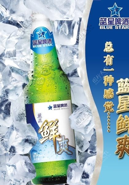 蓝星啤酒海报图片