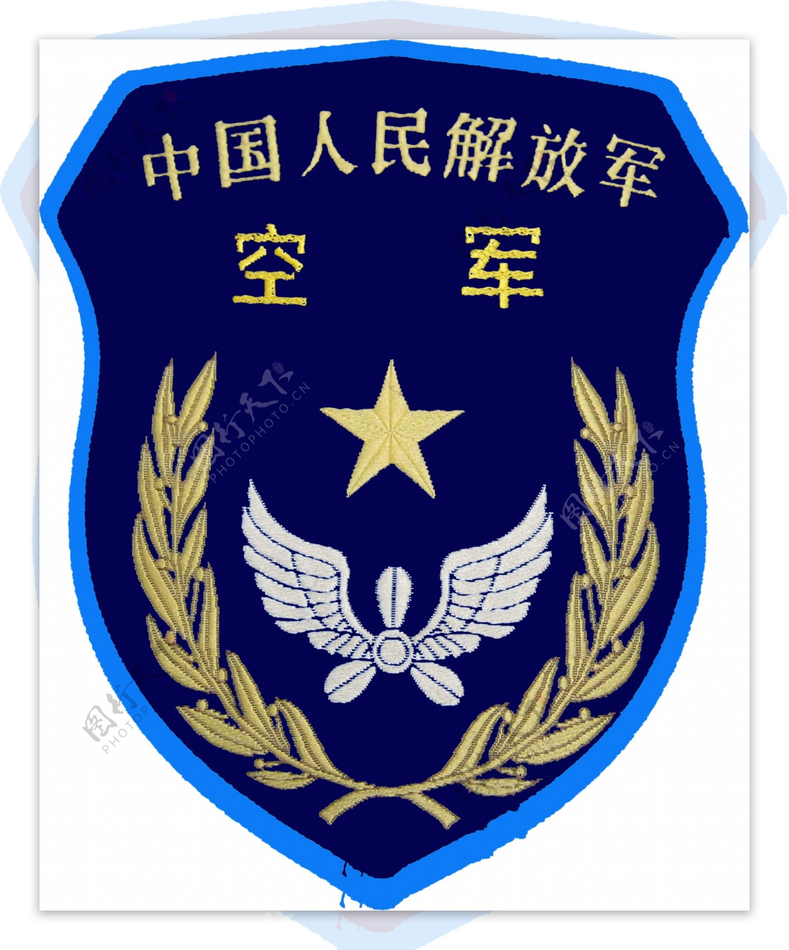 空军臂章图片