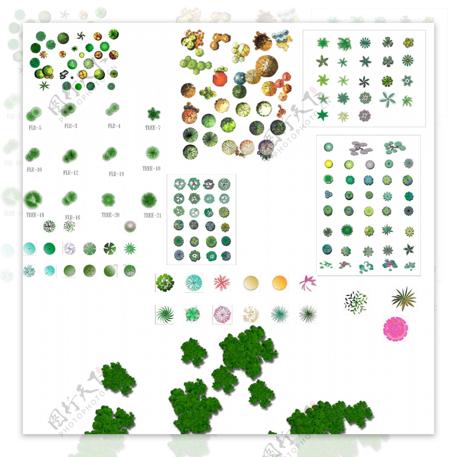 园林平面植物素材图片