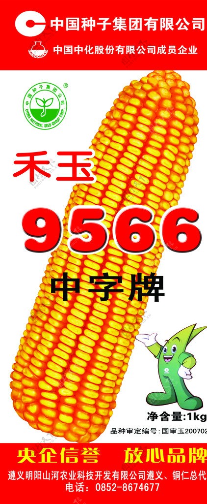 中种和玉9566图片