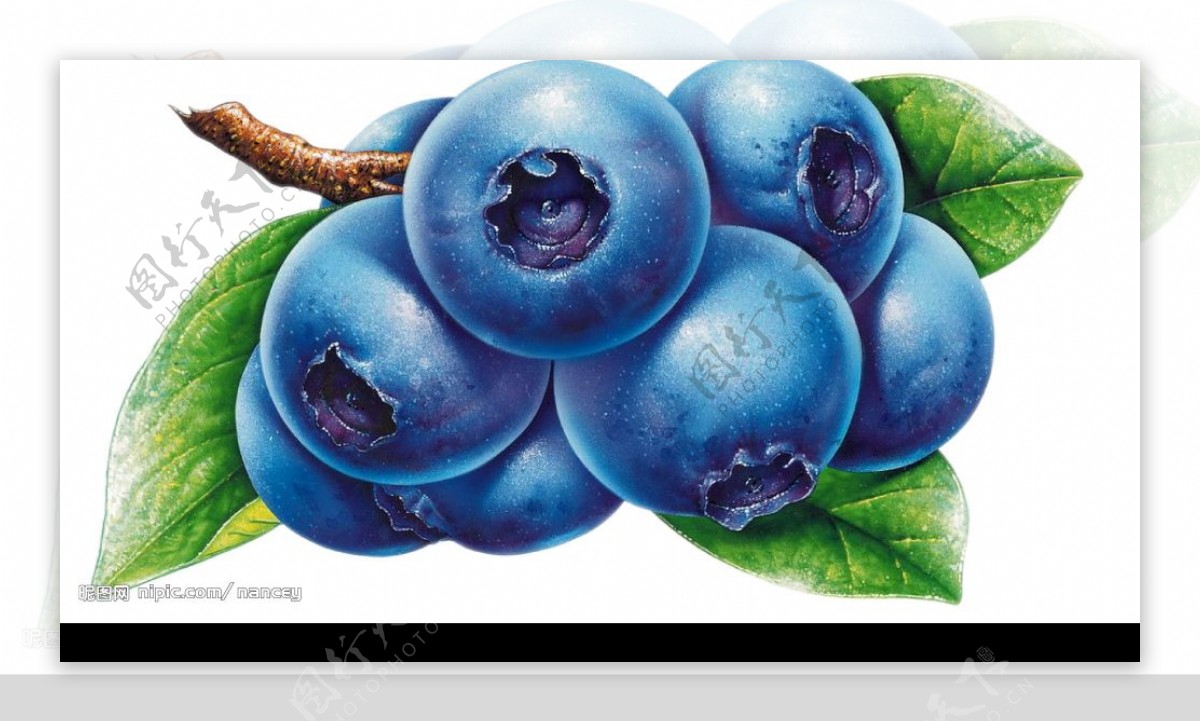 水果蓝莓图片