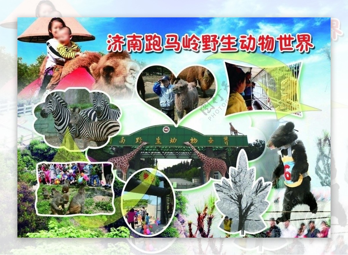 济南野生动物园图片
