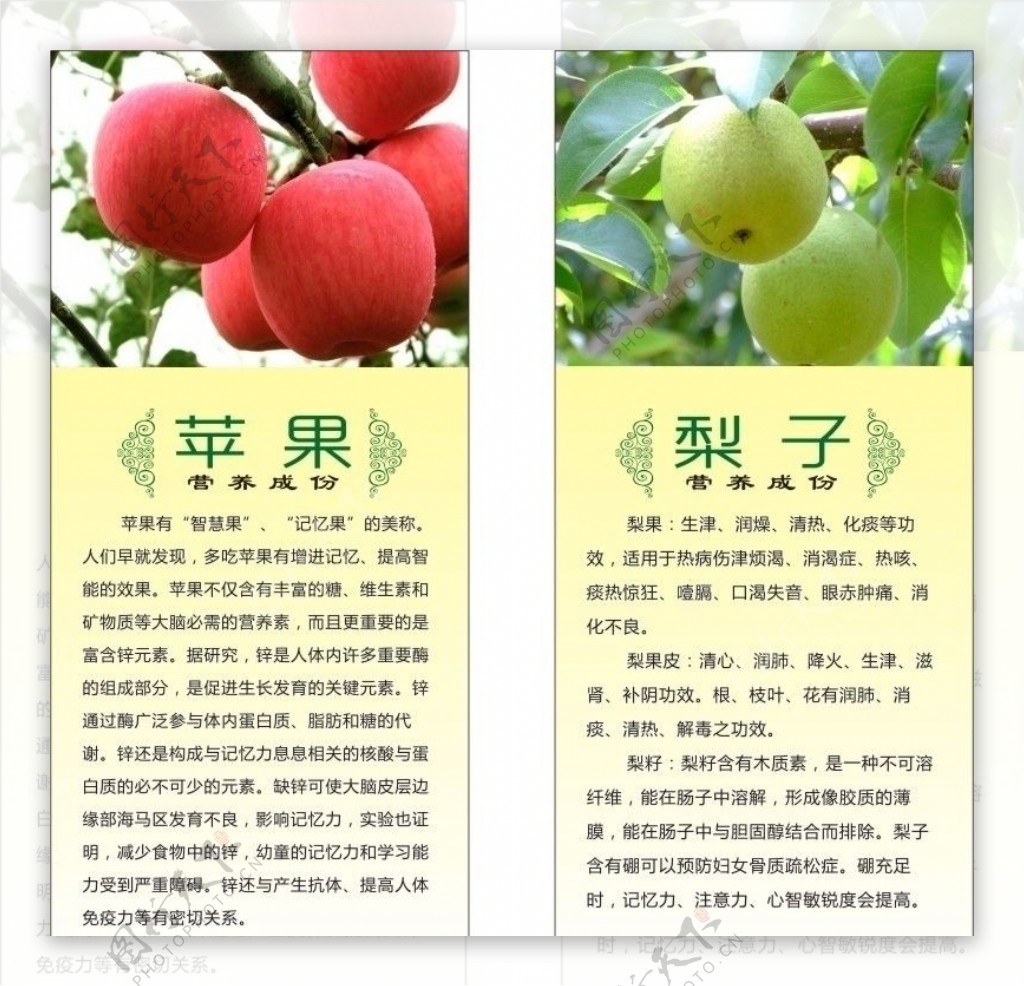 苹果梨子的营养成份图片