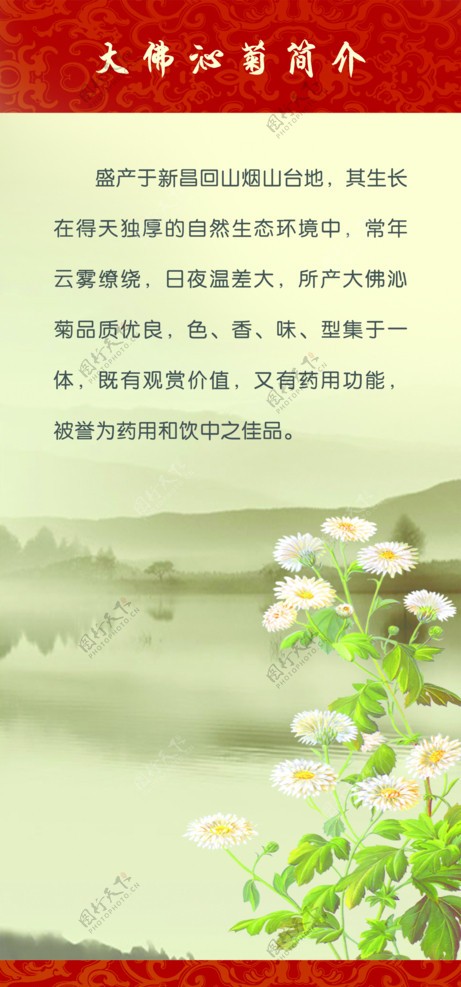 贡菊挂轴图片