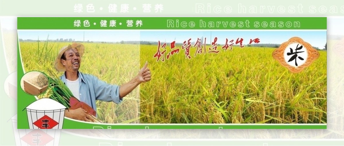 大米稻谷图片