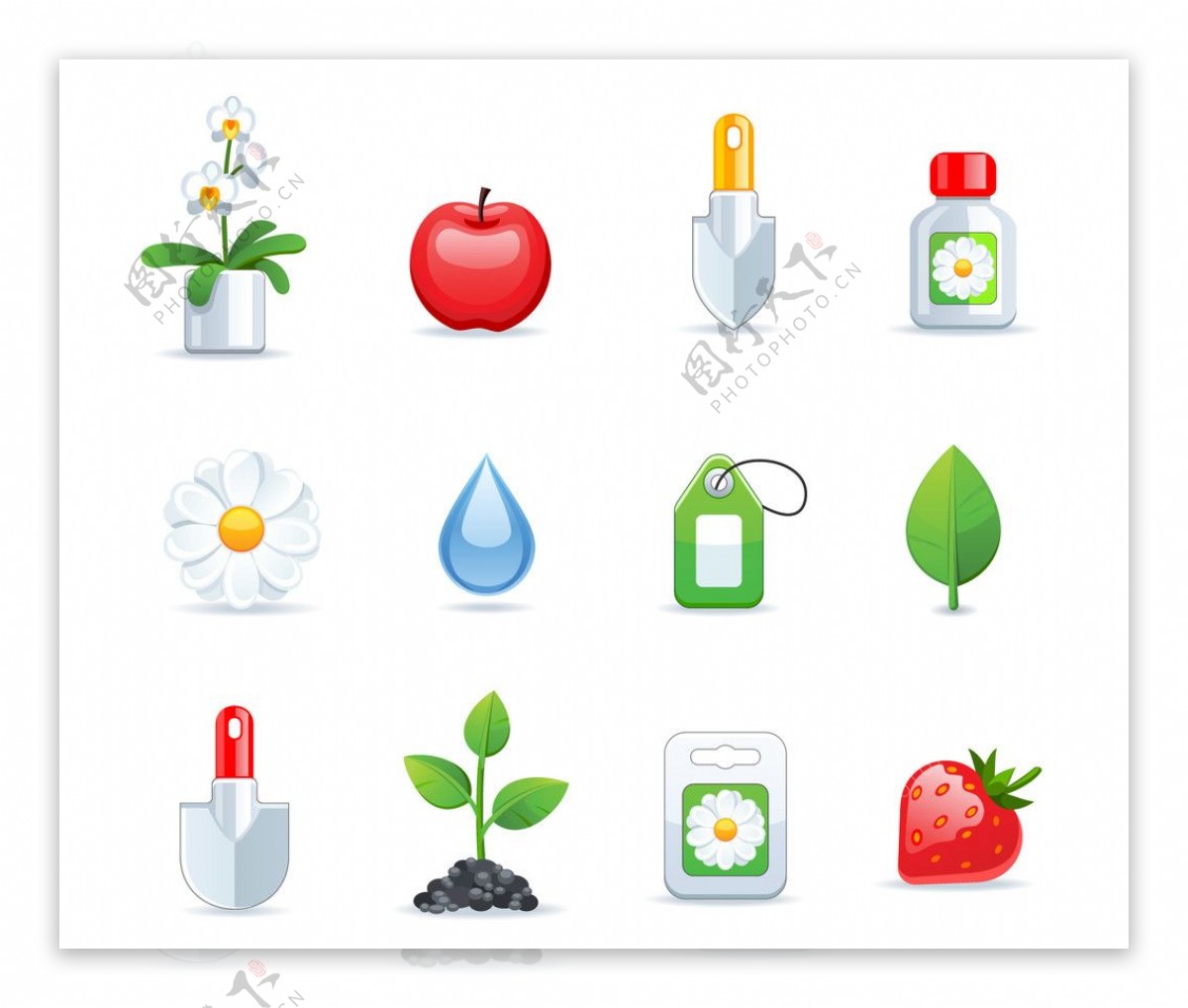 植物水果图标图片