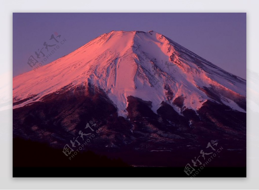 樱花与富士山0174