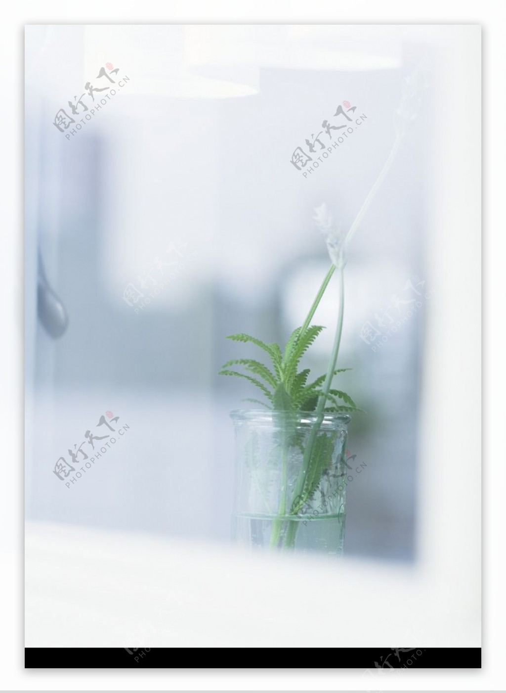 植物与空间0159