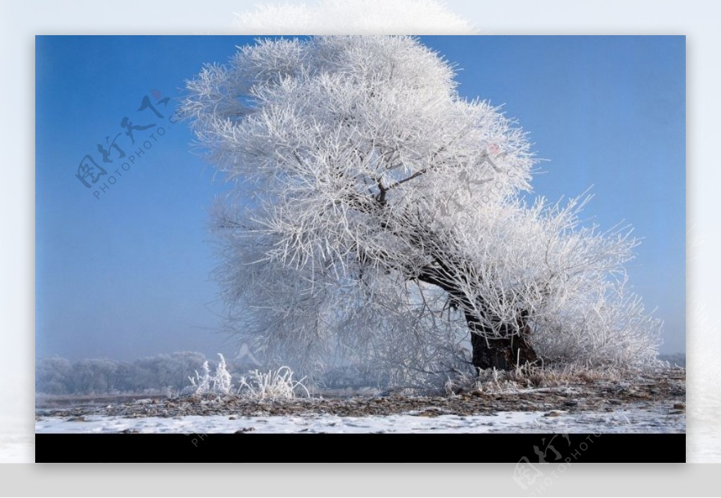 冬天雪景0420