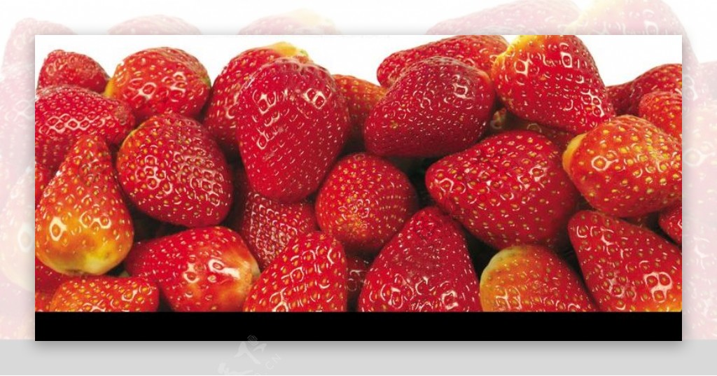 草莓0007