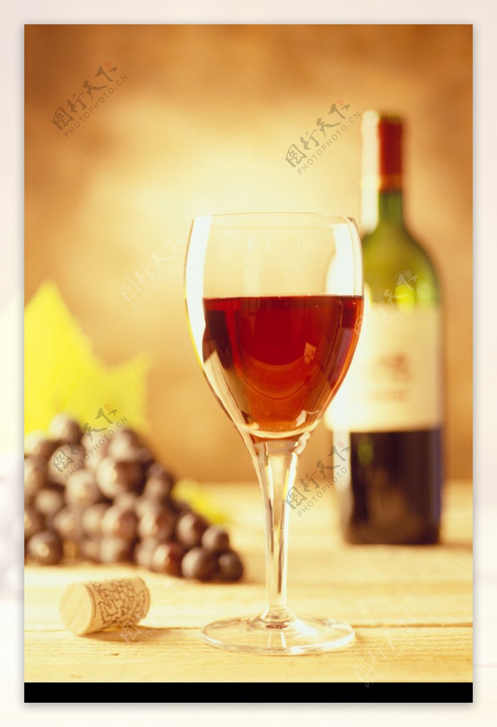 葡萄酒0049