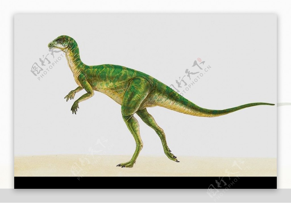 白垩纪恐龙0021