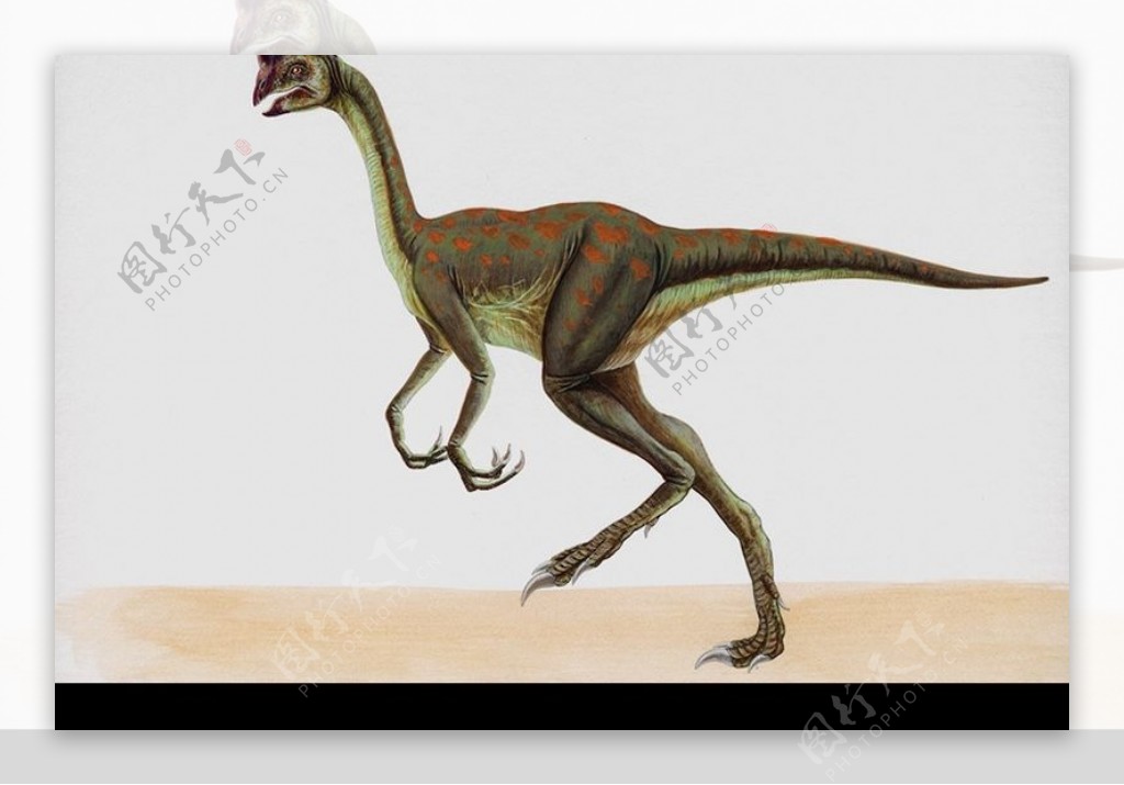 白垩纪恐龙0068