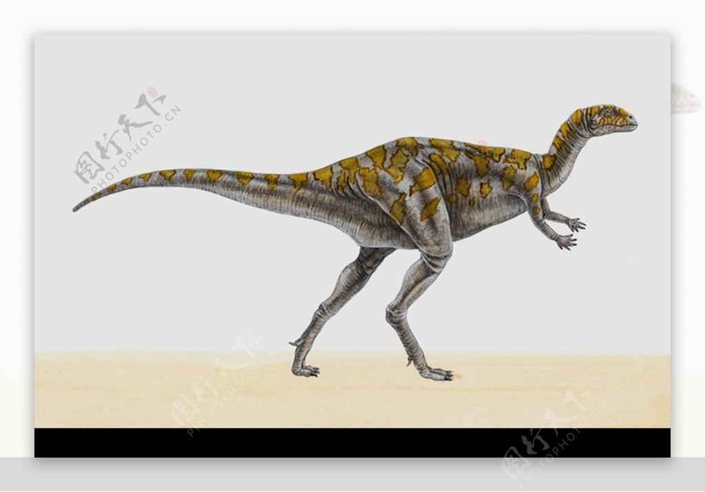 白垩纪恐龙0082