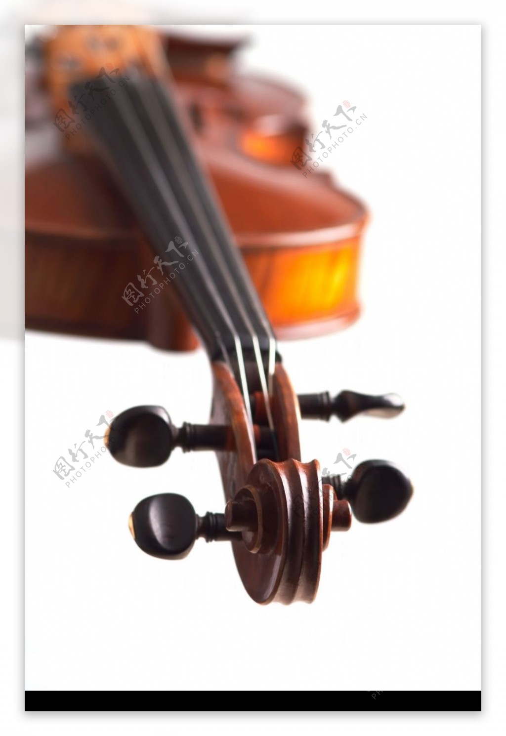 小提琴0031