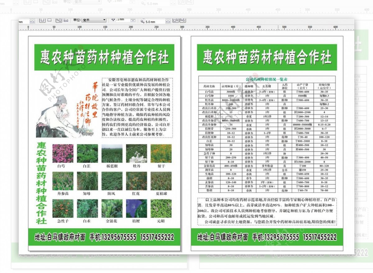 药材种苗种植合作社单页