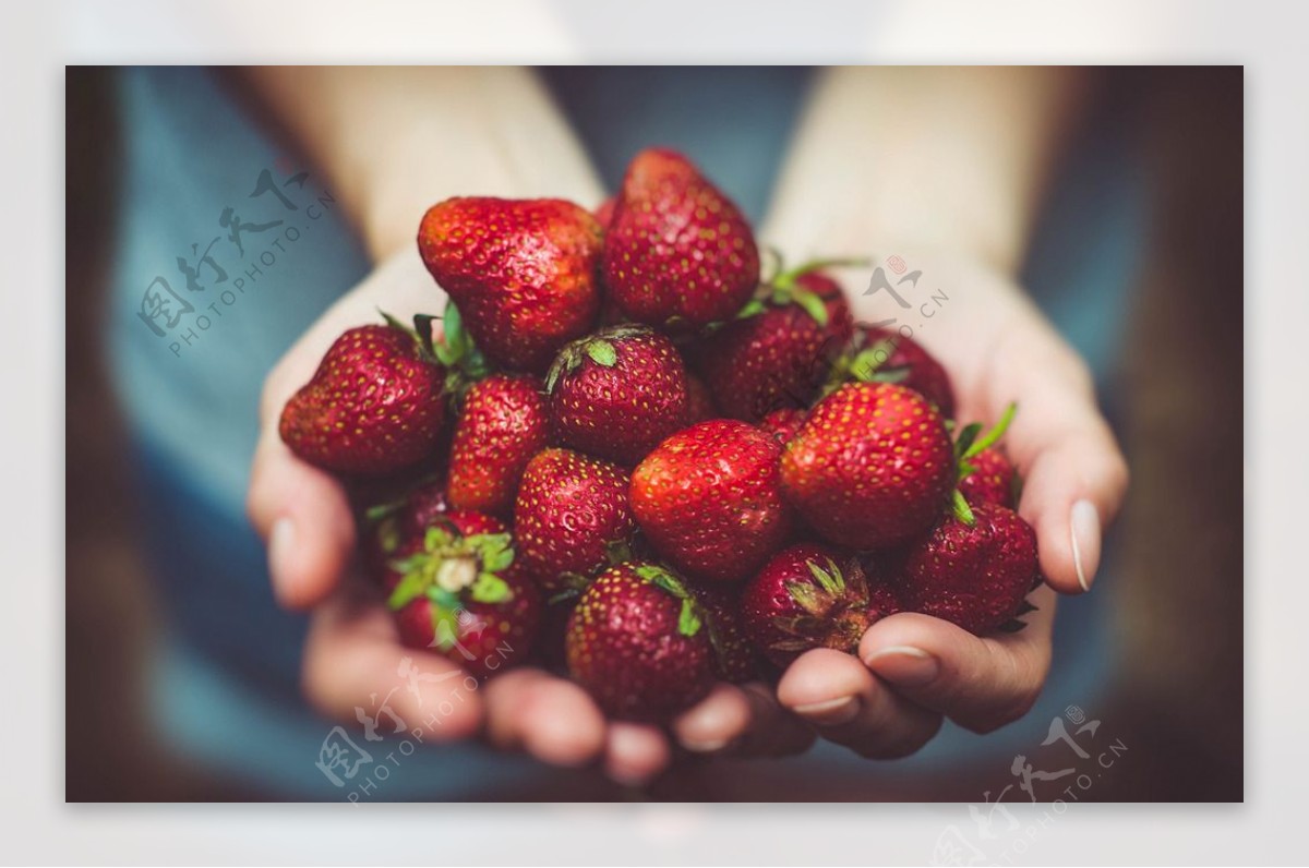 双手捧着的草莓