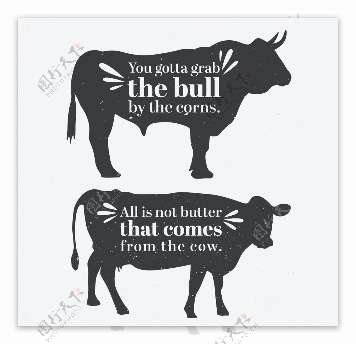 公牛和母牛的剪影与报价