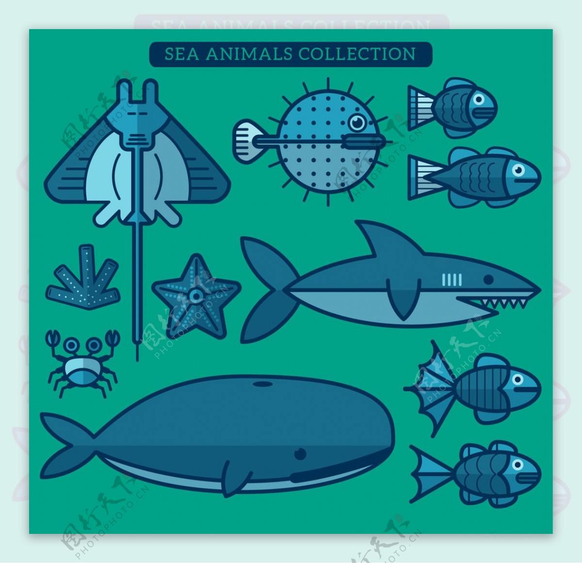 海洋动物集合扁平化设计