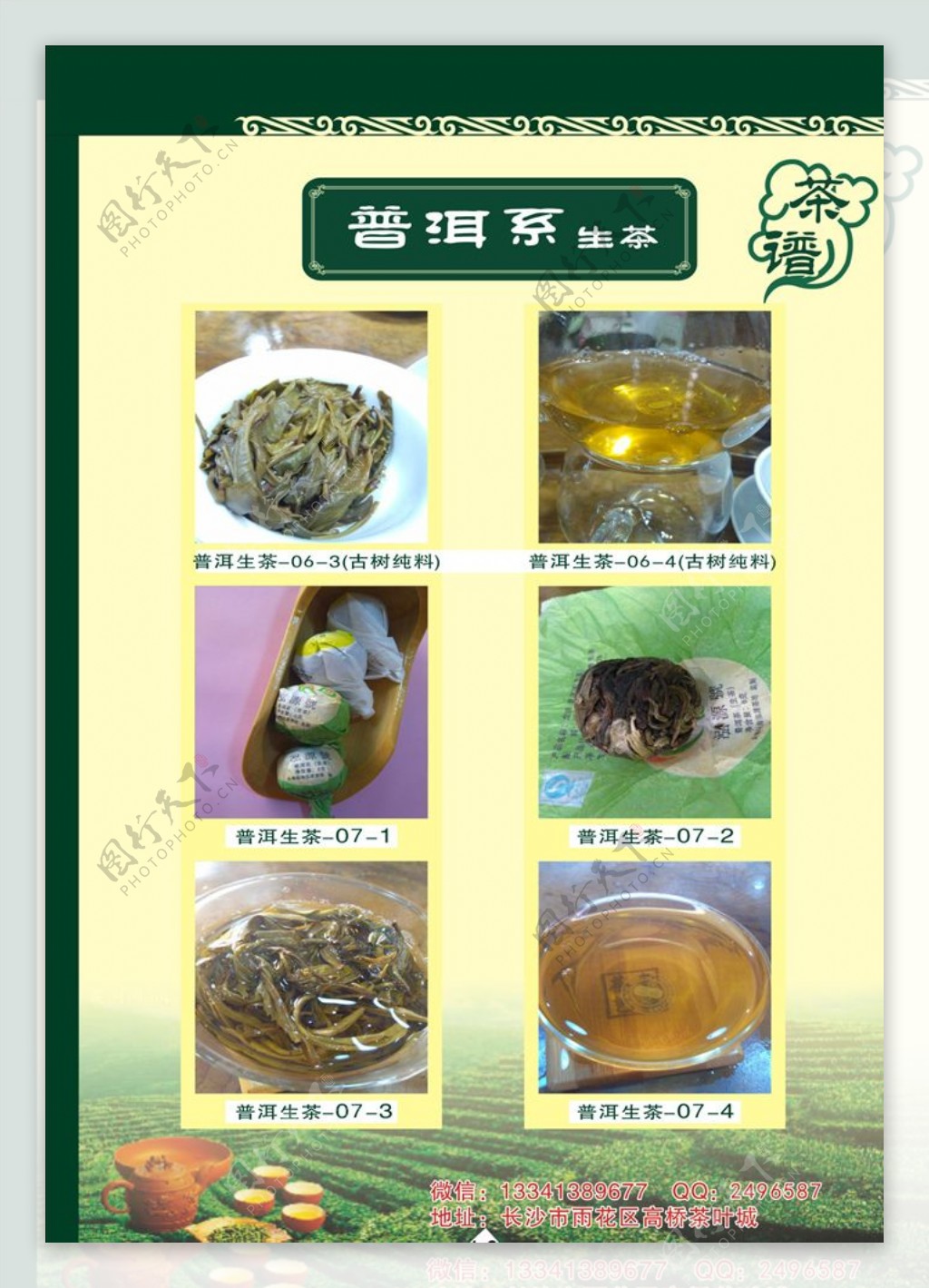 茶叶菜单宣传册