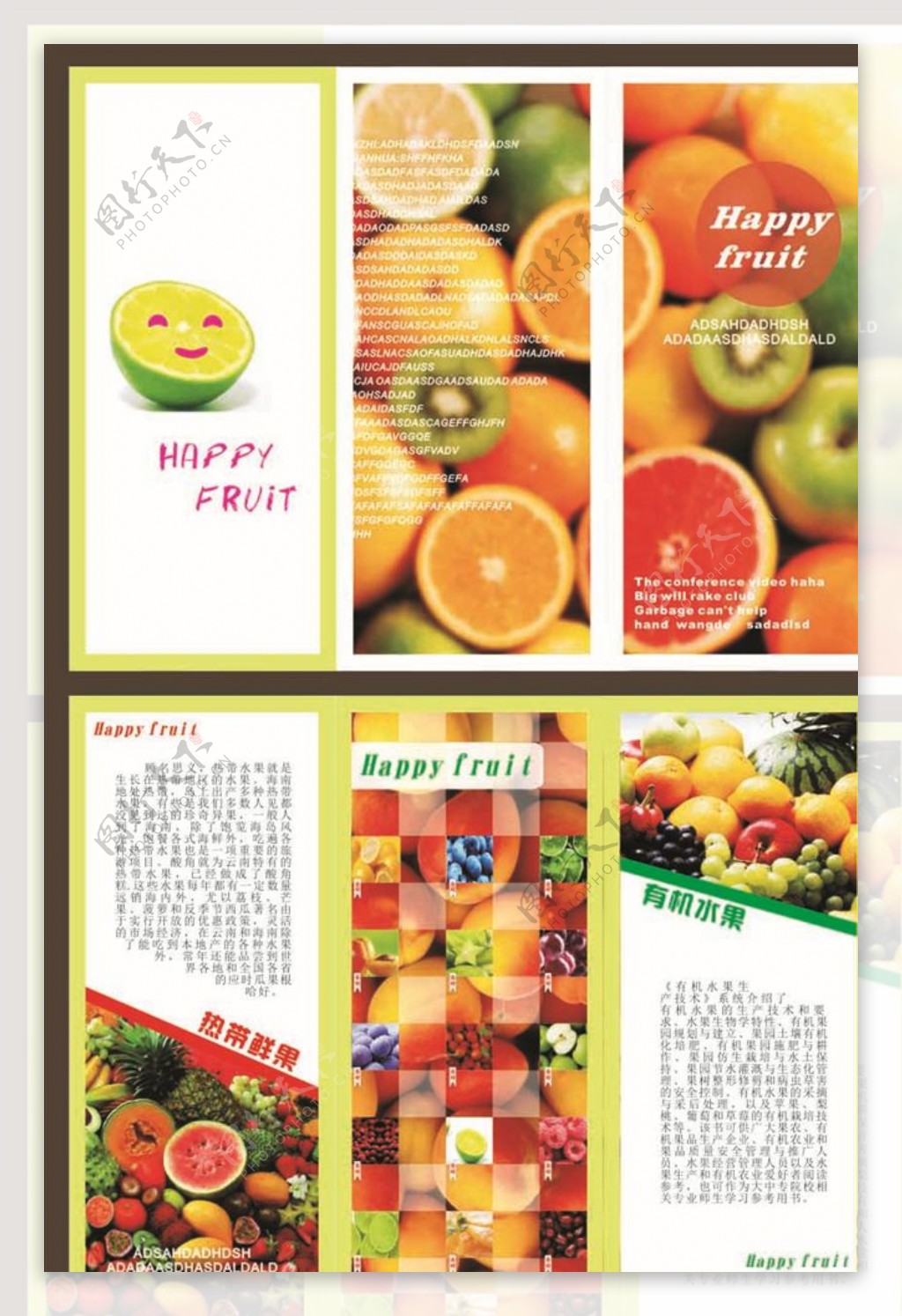 水果三折页