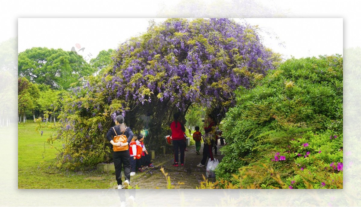 鲜花洞