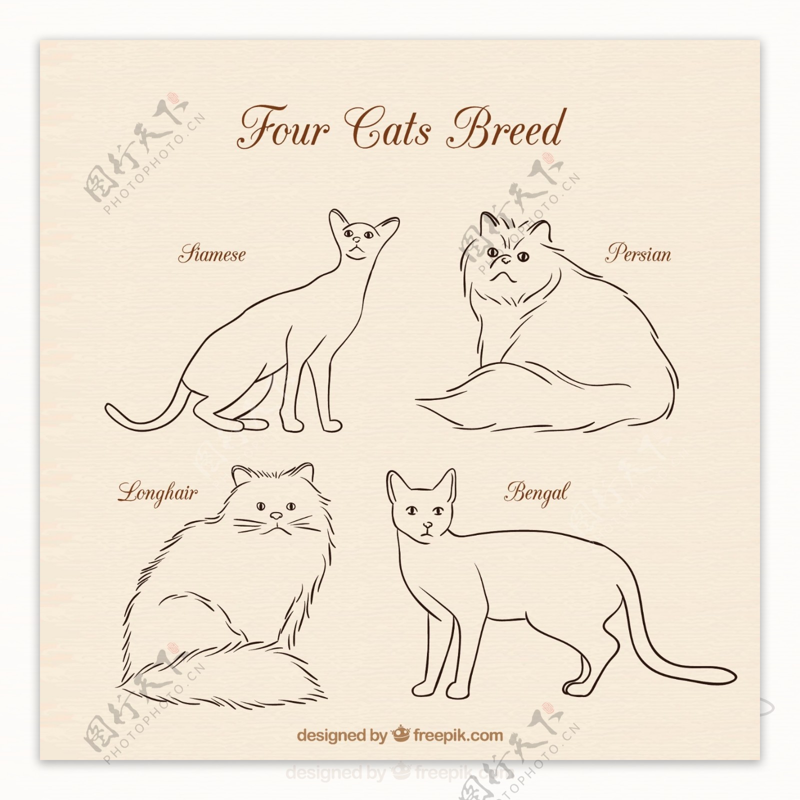 四只猫手绘