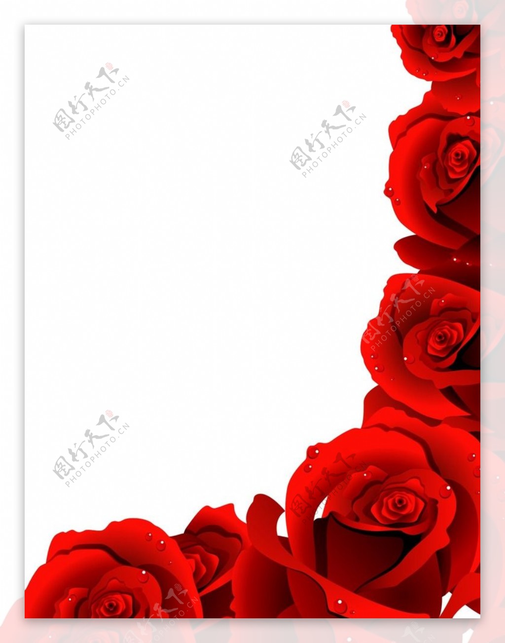 红玫瑰花边矢量素材