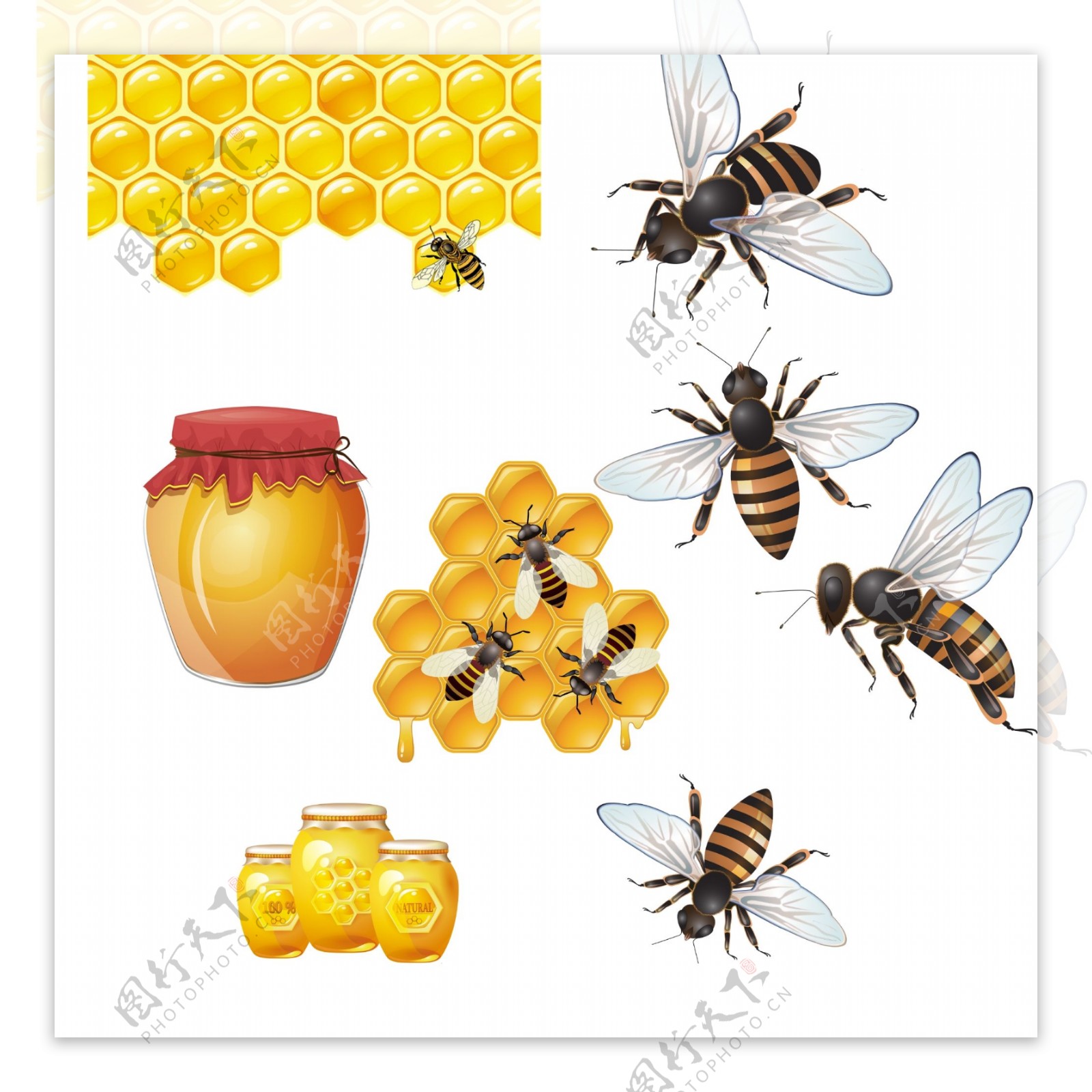一罐蜂蜜蜜蜂
