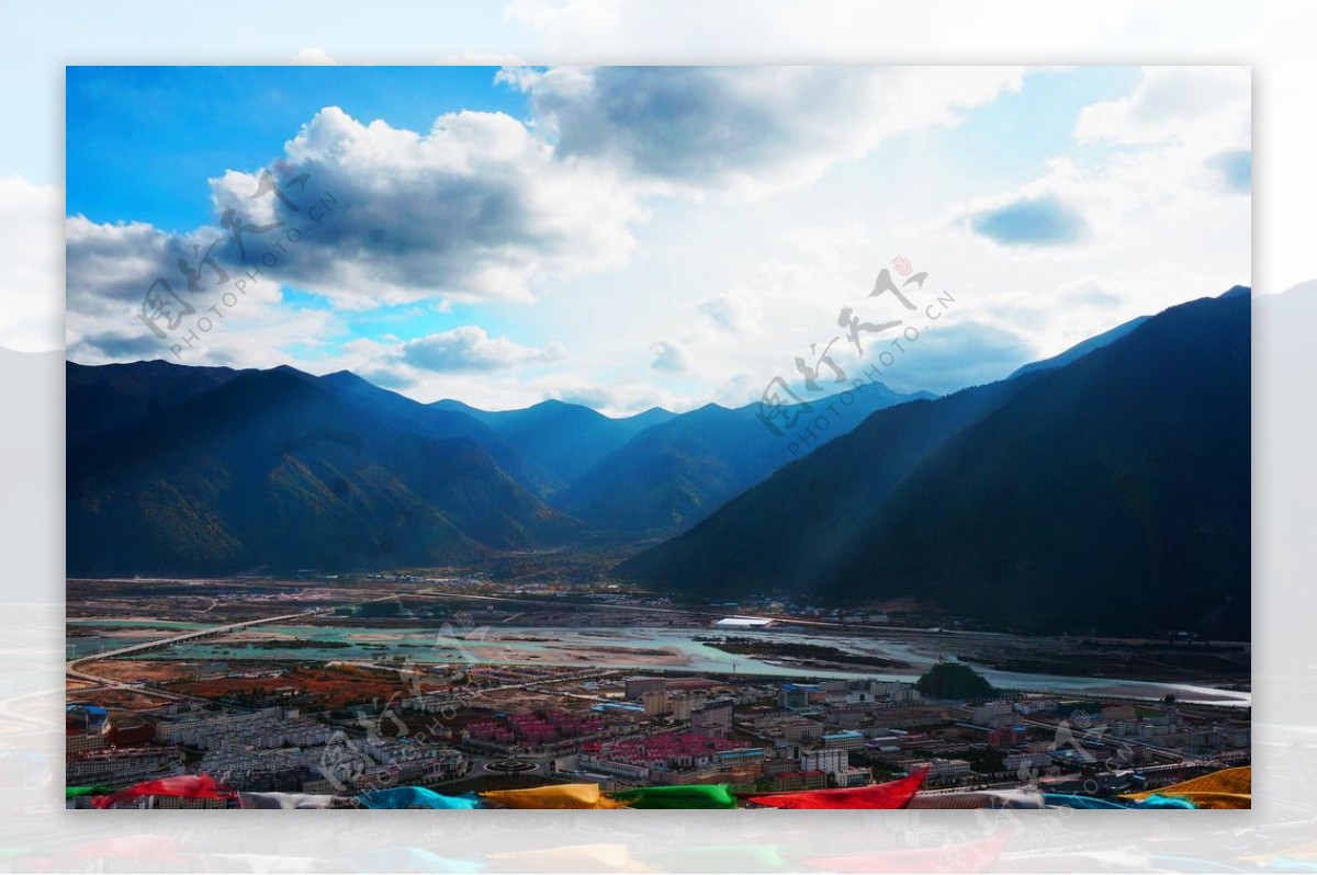 西藏灵芝全景