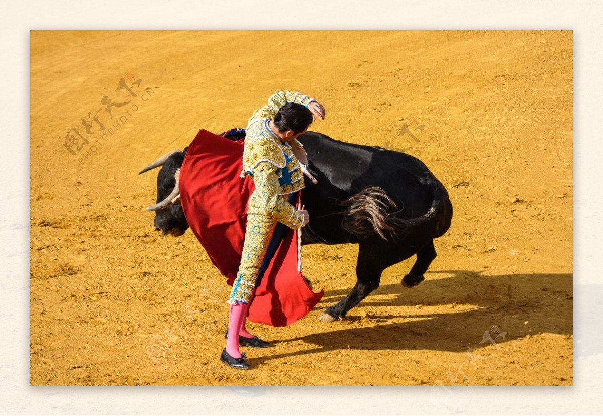西班牙圣伊西德罗斗牛节 斗牛士遇上蛮力公牛（组图）-新华网