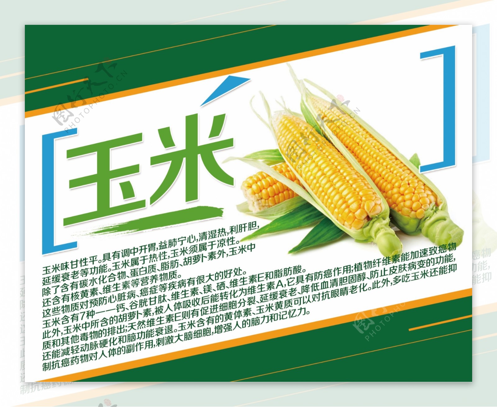 玉米简介蔬菜简介