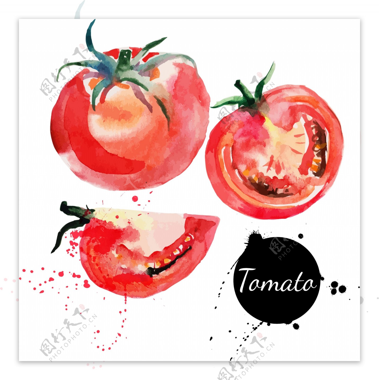 水彩西红柿