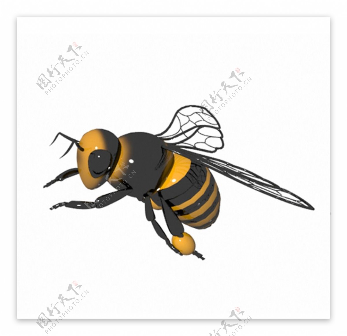蜜蜂3D模型带贴图