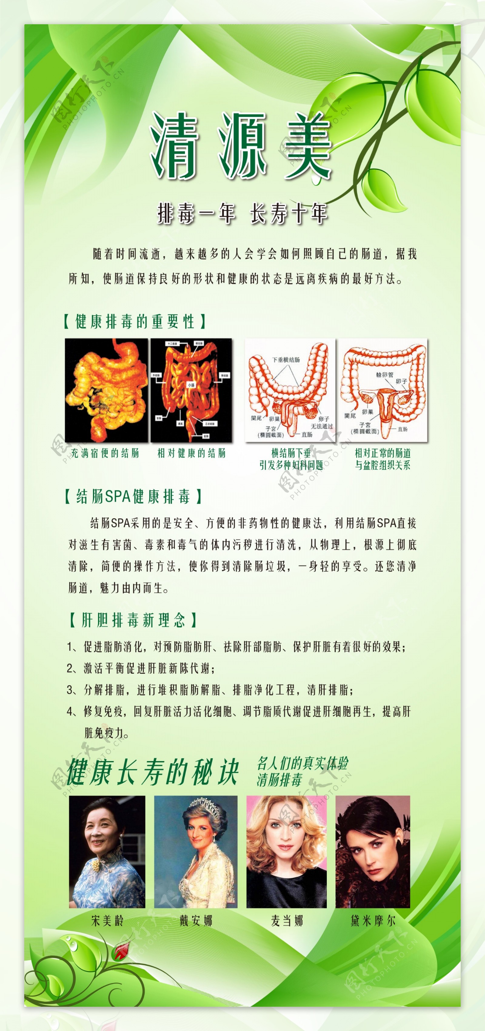 清源美结肠排毒展架画面