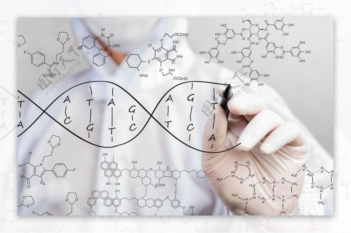 医生与DNA结构