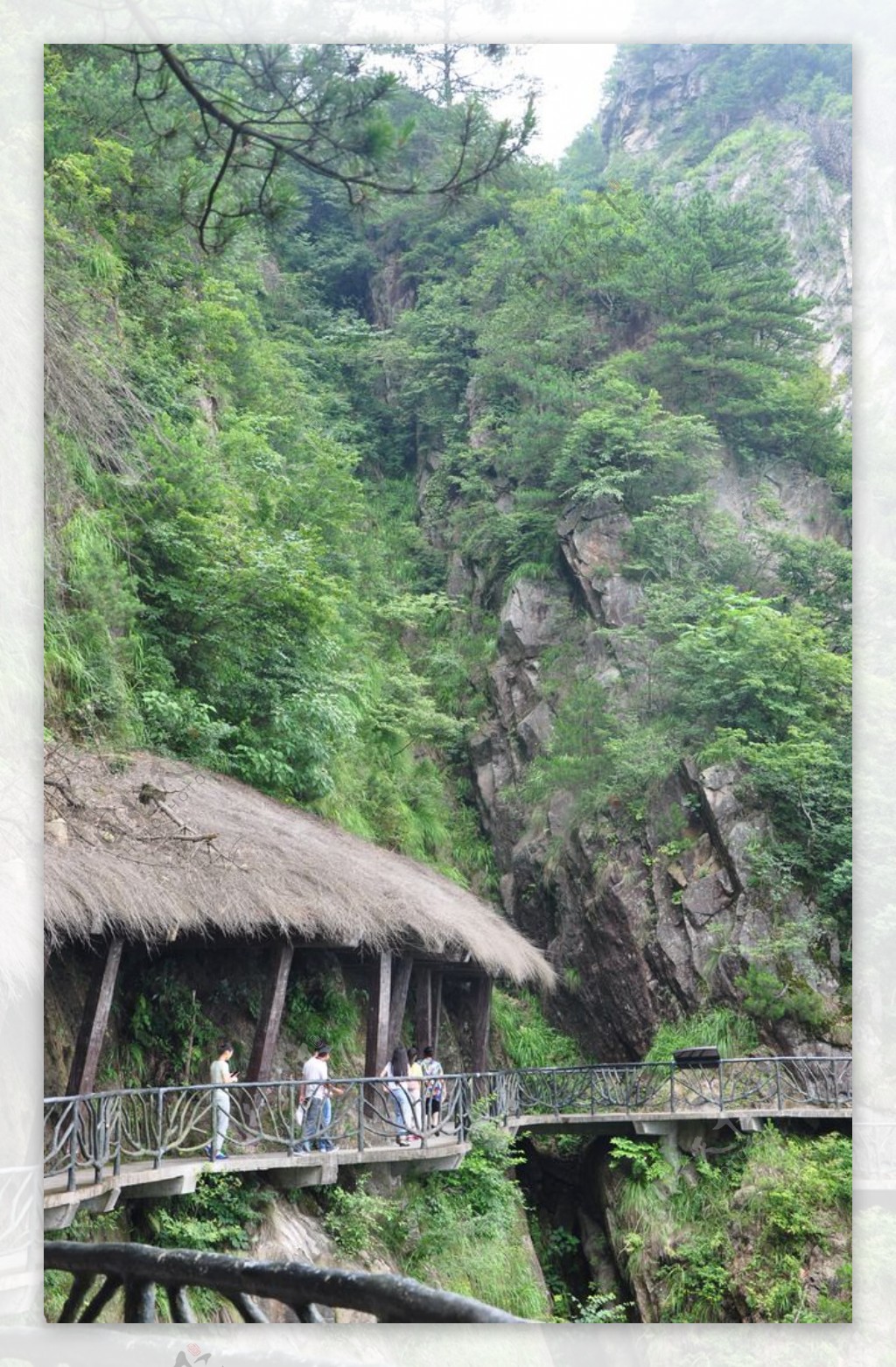 青山风景