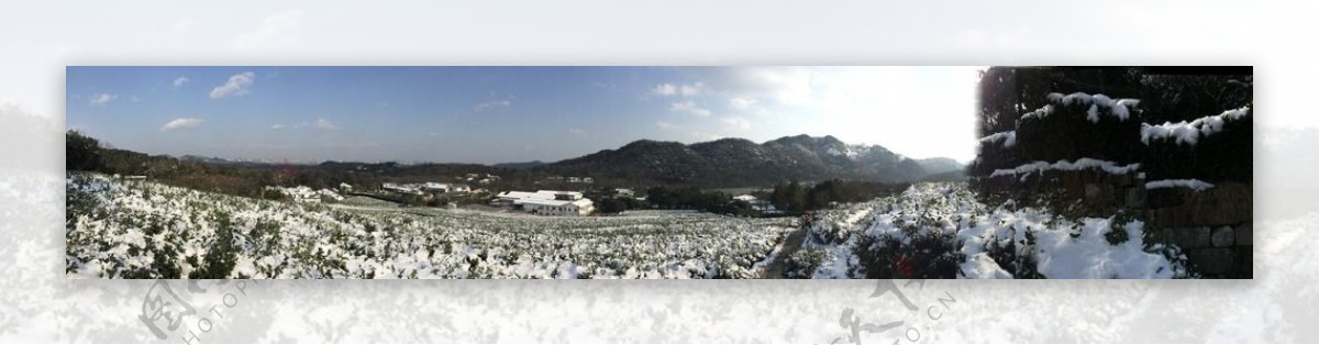 龙井雪景