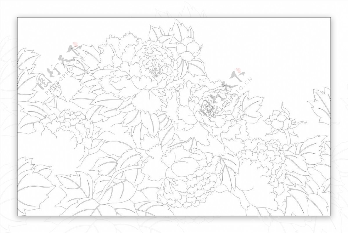 牡丹花芙蓉花艺术玻璃矢量图