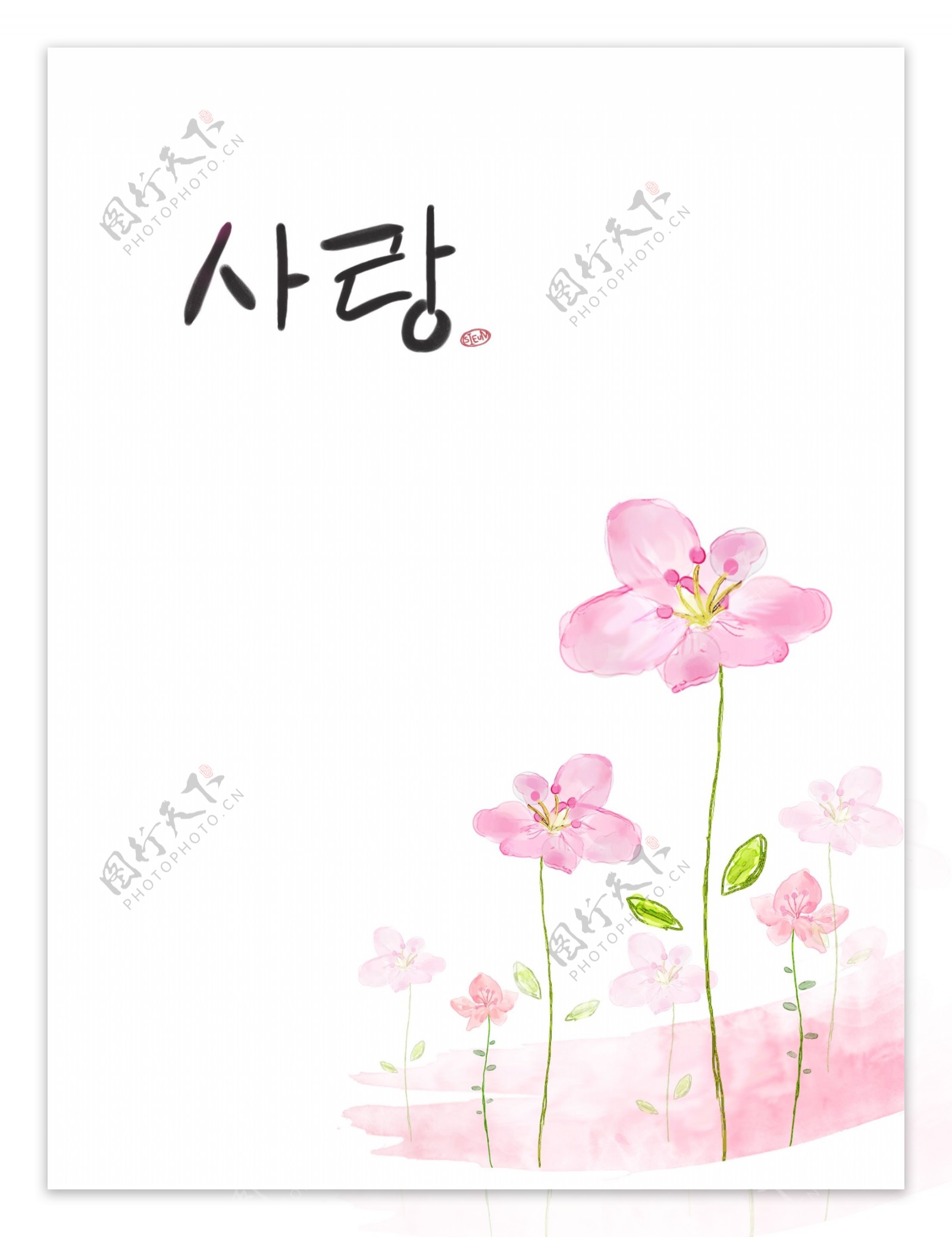 韩式粉色小花朵