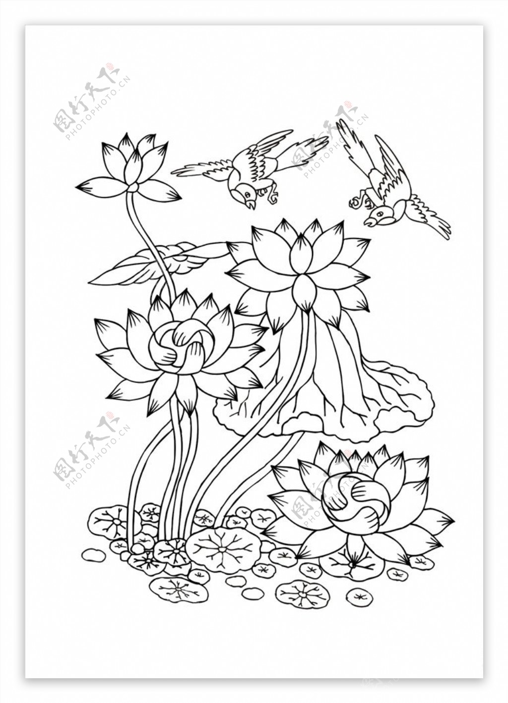 手绘花卉图案