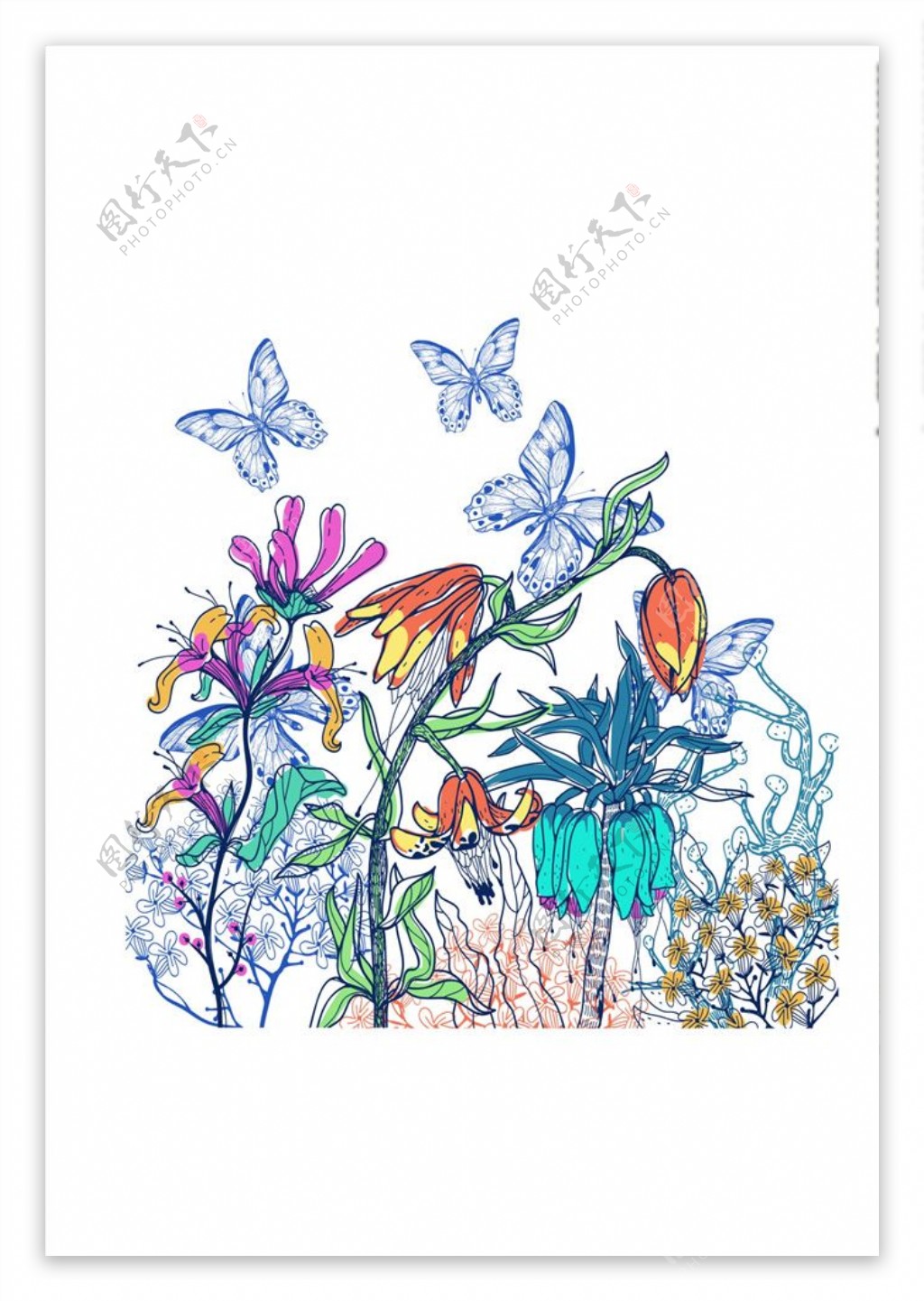 蝴蝶植物图案