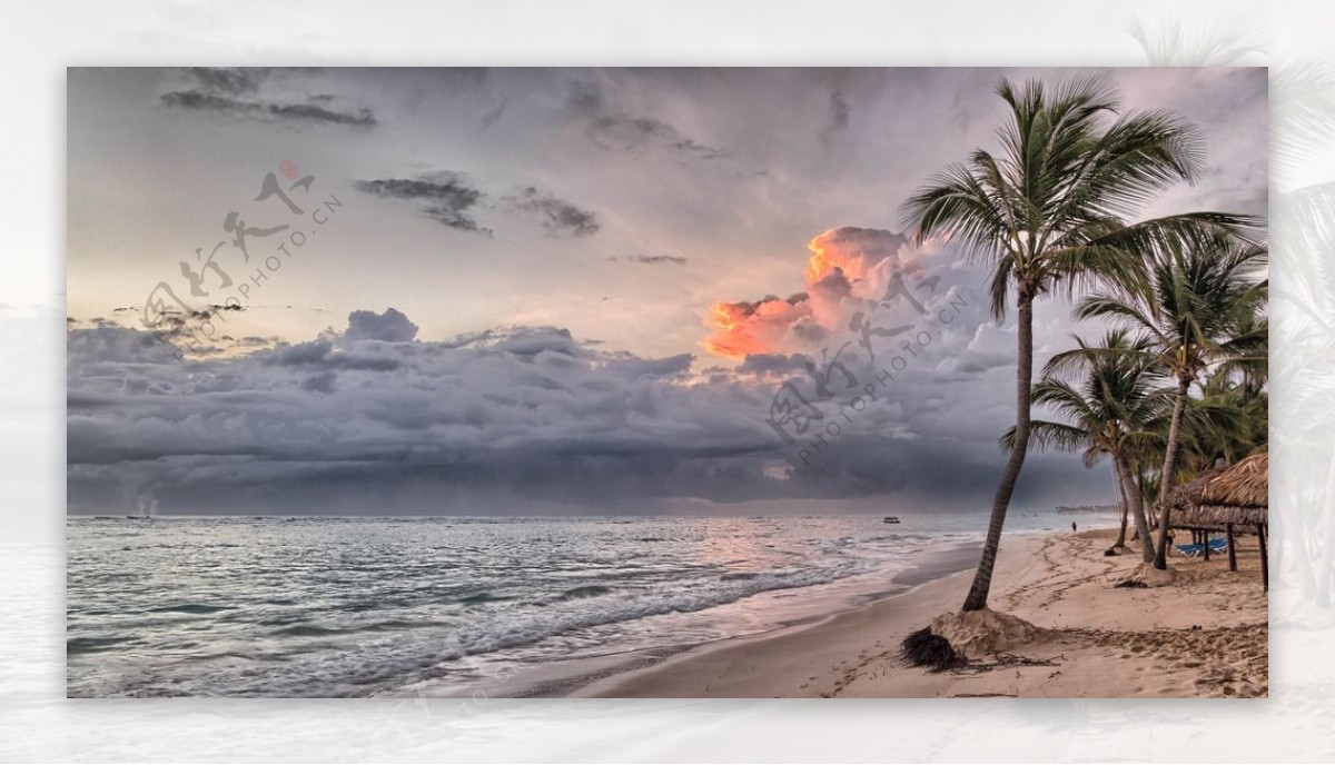 海景沙滩椰树