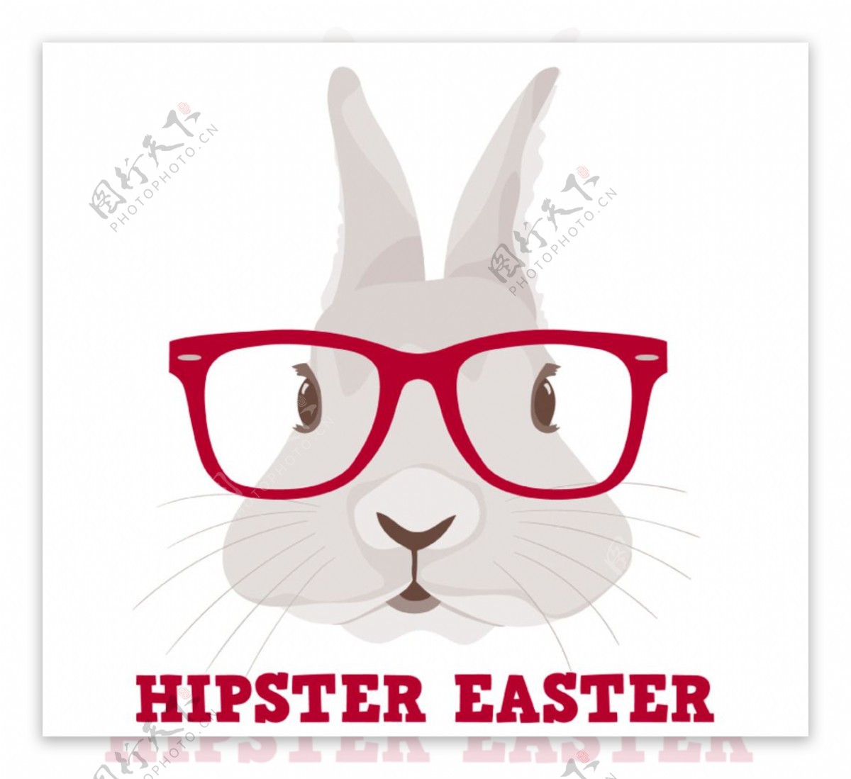 戴红色眼镜框的兔子
