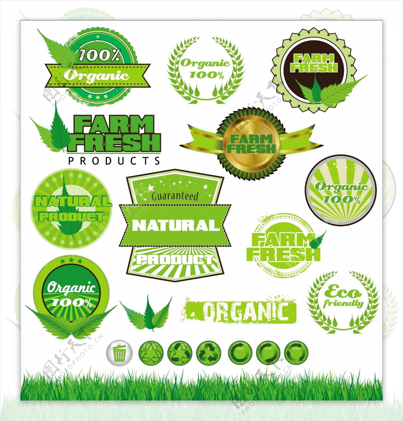 绿色环保标签贴纸