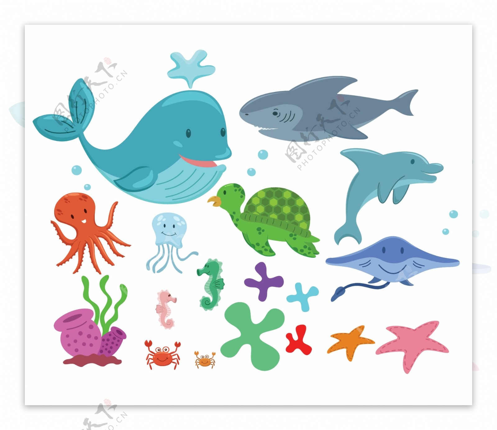 卡通夏季海洋动物